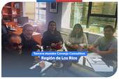 Los Ríos: Tercera sesión del Consejo Consultivo Regional