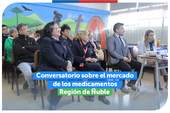 Ñuble: Conversatorio sobre "el mercado de los medicamentos" en la región