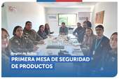 Ñuble: Primera sesión anual de la Mesa Regional de Seguridad de Productos