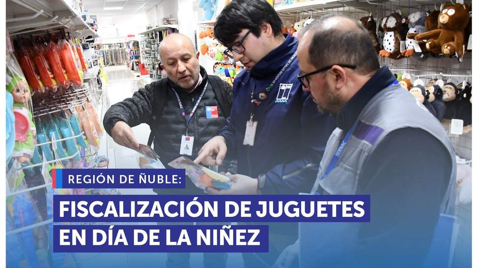 Ñuble: Fiscalización de juguetes en el contexto del Día de la Niñez Ñuble: Fiscalización de juguetes en el contexto del Día de la Niñez