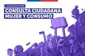 Consulta Ciudadana Mujer y Consumo Aysen