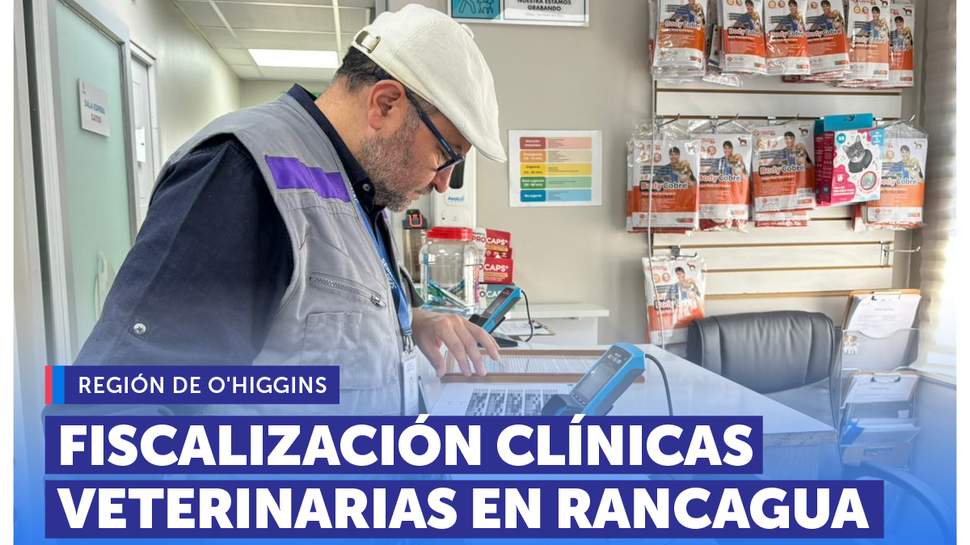 O'Higgins: SERNAC fiscaliza a clínicas veterinarias en Rancagua