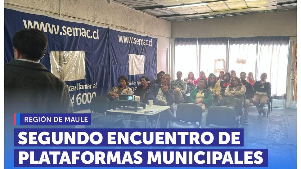 Maule: SERNAC realiza el segundo encuentro anual de Plataformas Municipales en la región