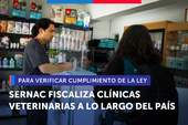 SERNAC fiscaliza clínicas veterinarias a lo largo del país para verificar cumplimiento de la ley