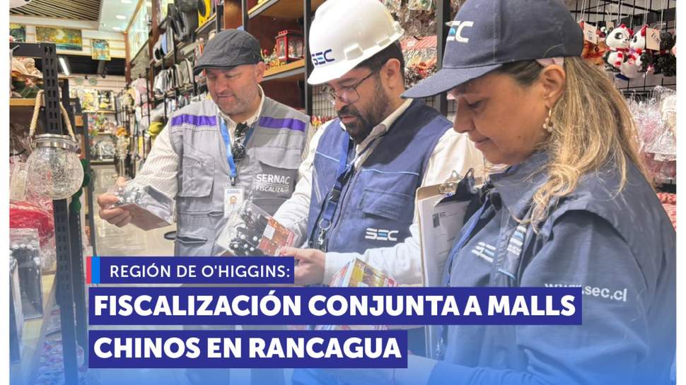 O'Higgins: SEREMI de Salud, SERNAC y SEC fiscalizan conjuntamente a malls chinos de la región previo a Halloween