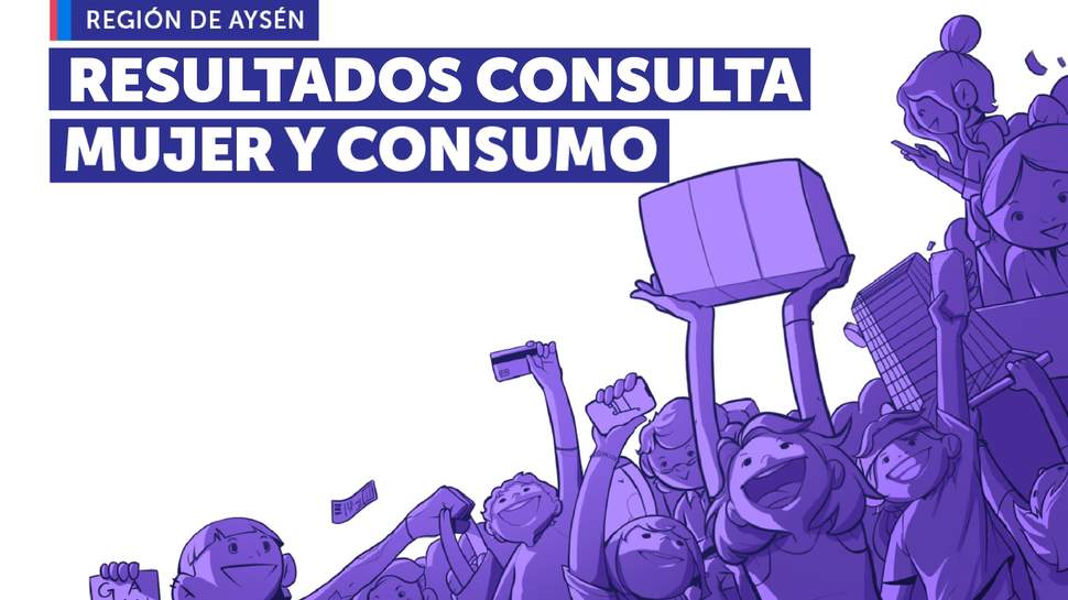 Consulta Ciudadana Mujer y Consumo Aysen