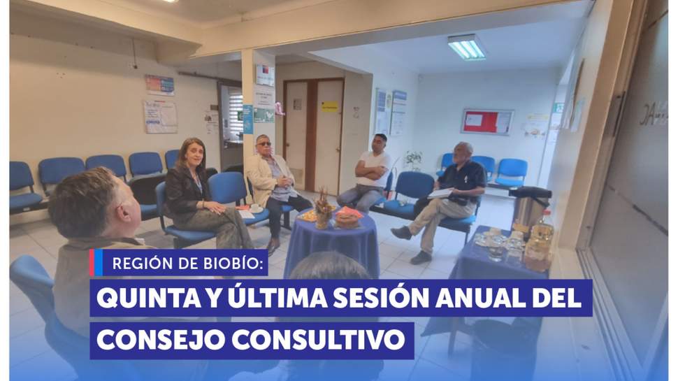 Biobío: Quinta y última sesión anual del Consejo Consultivo de la región