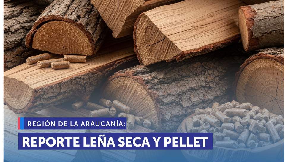 Leña seca Araucanía