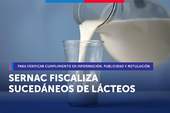 SERNAC fiscaliza sucedáneos de lácteos para verificar cumplimiento en deberes de información, rotulado y publicidad de los productos