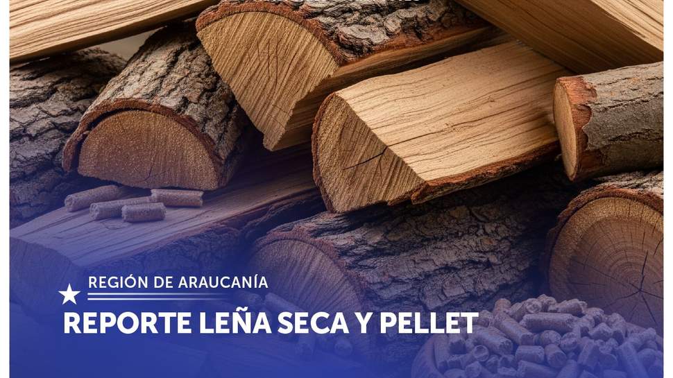 Leña seca Araucanía