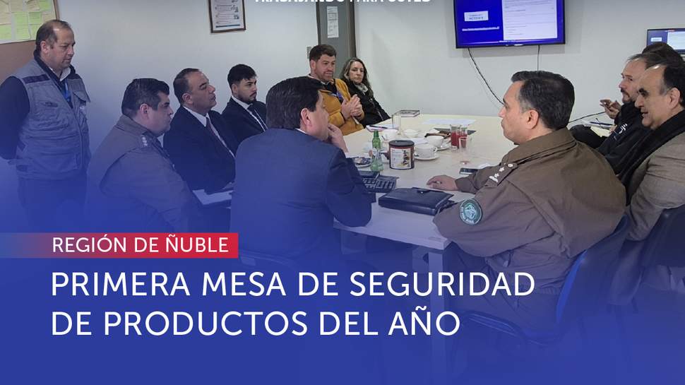 Ñuble: SERNAC realiza la primera sesión anual de la Mesa Regional de Seguridad de Productos