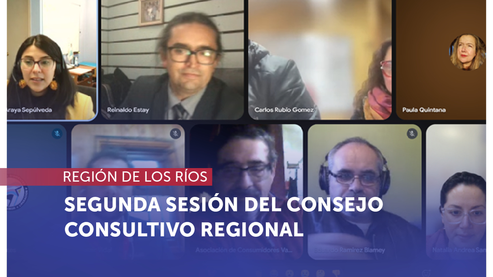 Los Ríos: Segunda sesión anual del Consejo Consultivo Regional