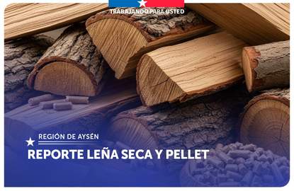 Leña seca Aysén