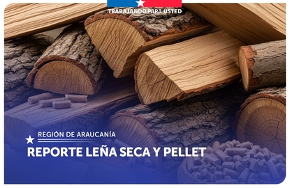 Leña seca Araucanía