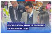 Magallanes: SERNAC fiscaliza venta de juguetes en Puerto Natales en el contexto de Navidad
