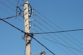 Arica: SERNAC ofició a CGE por corte de luz que afectó a Arica y otras regiones de norte