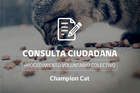 SERNAC abre Consulta Ciudadana sobre caso de alimentos "Champion Cat" SERNAC abre Consulta Ciudadana sobre caso de alimentos "Champion Cat"