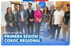 Los Ríos: Primera sesión anual del Consejo Consultivo Regional