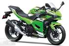 Motocicleta Kawasaki Ninja 500, años 2024-2025.