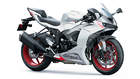 Motocicletas Kawasaki ZX-6R, años 2024 - 2025