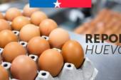 Reporte huevos