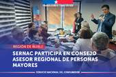 Ñuble: SERNAC Regional participa en Consejo Asesor Regional de personas mayores